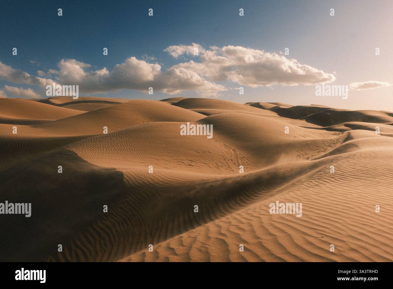 Imperial dune di sabbia, California Foto Stock