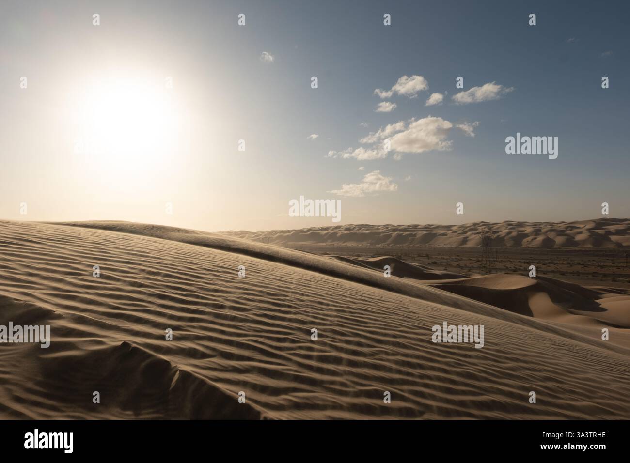 Imperial dune di sabbia, California Foto Stock