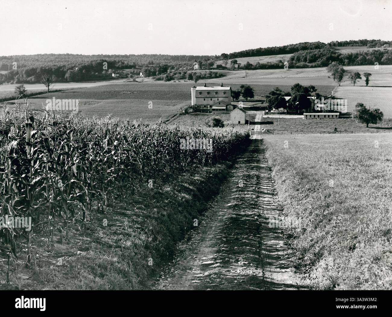 Farmland, Lancaster County, Pennsylvania, 1939 Foto Stock