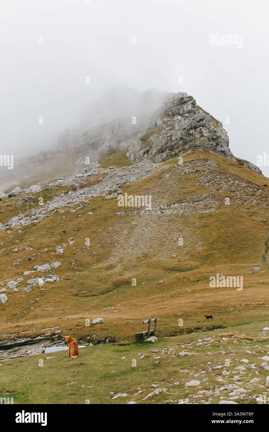 Nuvola che copre il passo montano di Sedlo, il parco nazionale di Durmitor, Montenegro. Crna Gora. Foto Stock