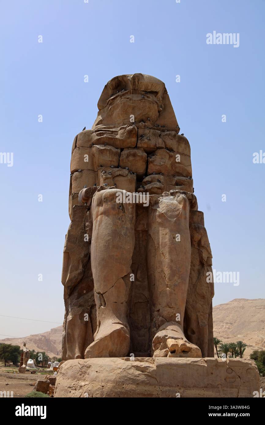 Colossi di Memnone - statue del faraone Amenofi III nella necropoli di Tebe, Egitto Foto Stock Colossi di Memnone - statue del faraone Amenofi III nella necropoli di Tebe, Egitto Foto Stock