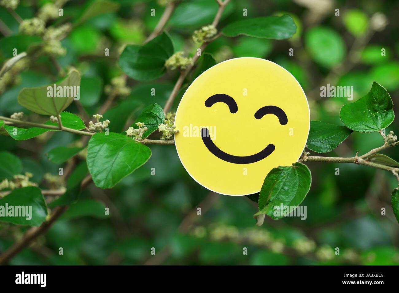 Smiley Face Sticker su foglie verdi, simboleggia la felicità, la positività, la natura, il benessere mentale, e un'atmosfera nuova Foto Stock