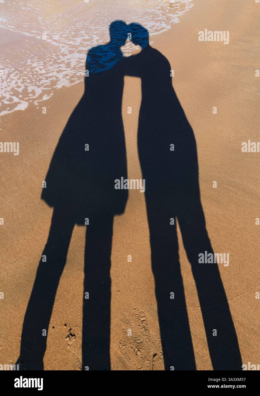 Abbraccio eterno sulla riva Foto Stock