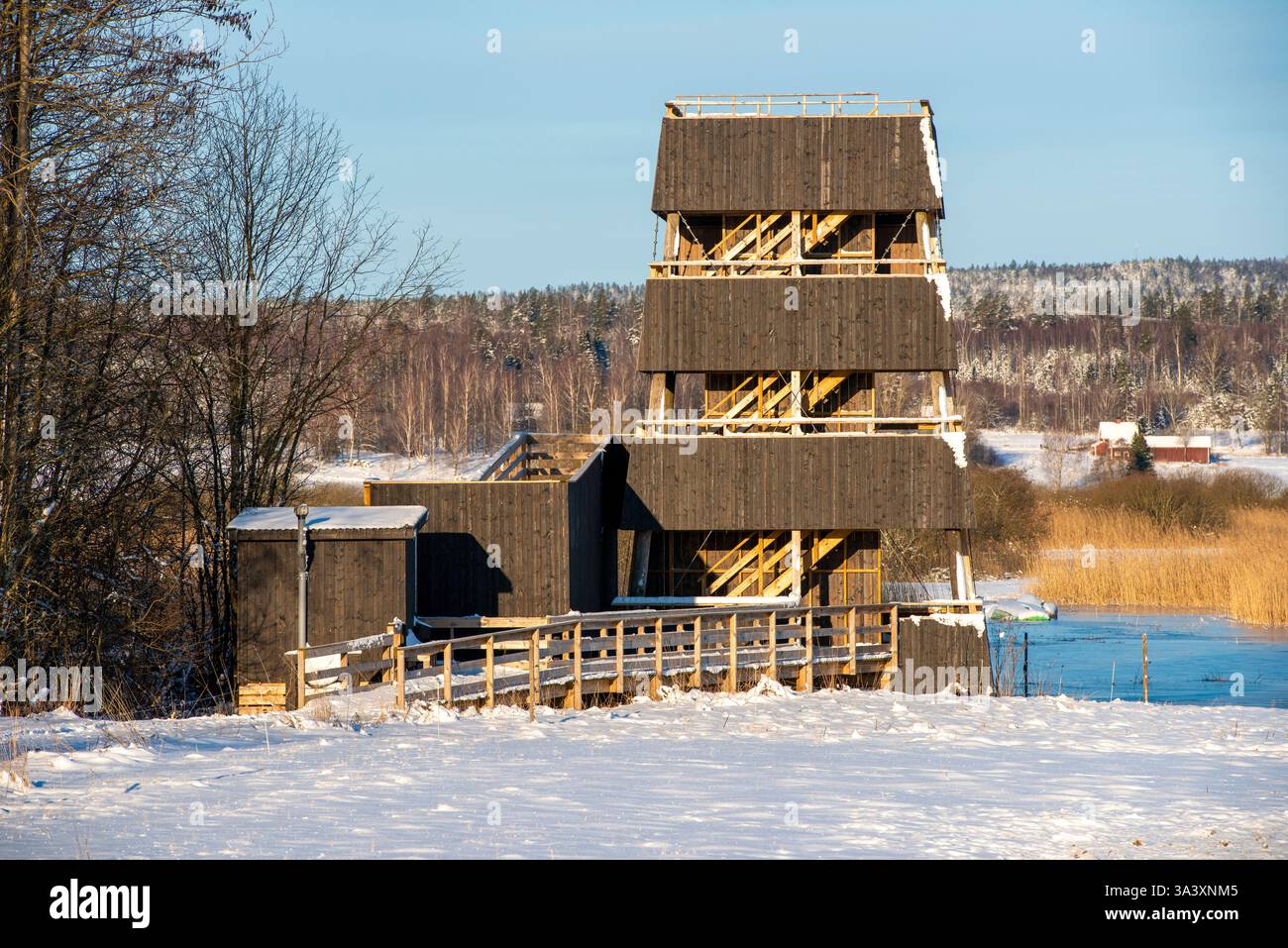 Torre di osservazione degli uccelli, fågeltorn, Tysslingen, Svezia Foto Stock