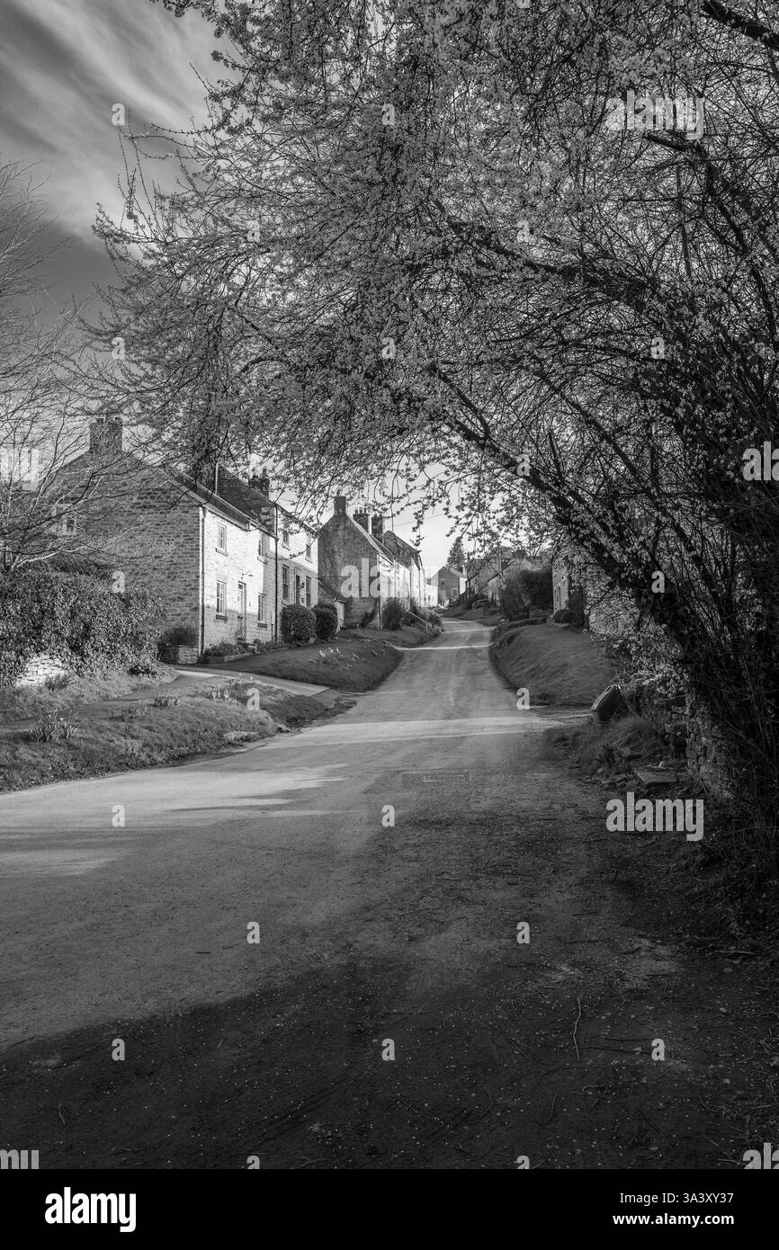 Il villaggio di campagna di Nunnington nello Yorkshire settentrionale. Foto Stock