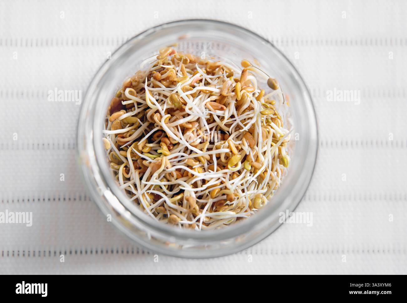 Sopra la vista del fieno greco, germinazione dei semi di Trigonella foenum-graecum, germogli che crescono per il cibo in casa. I semi germinano nel vaso di vetro della cucina di casa. Foto Stock