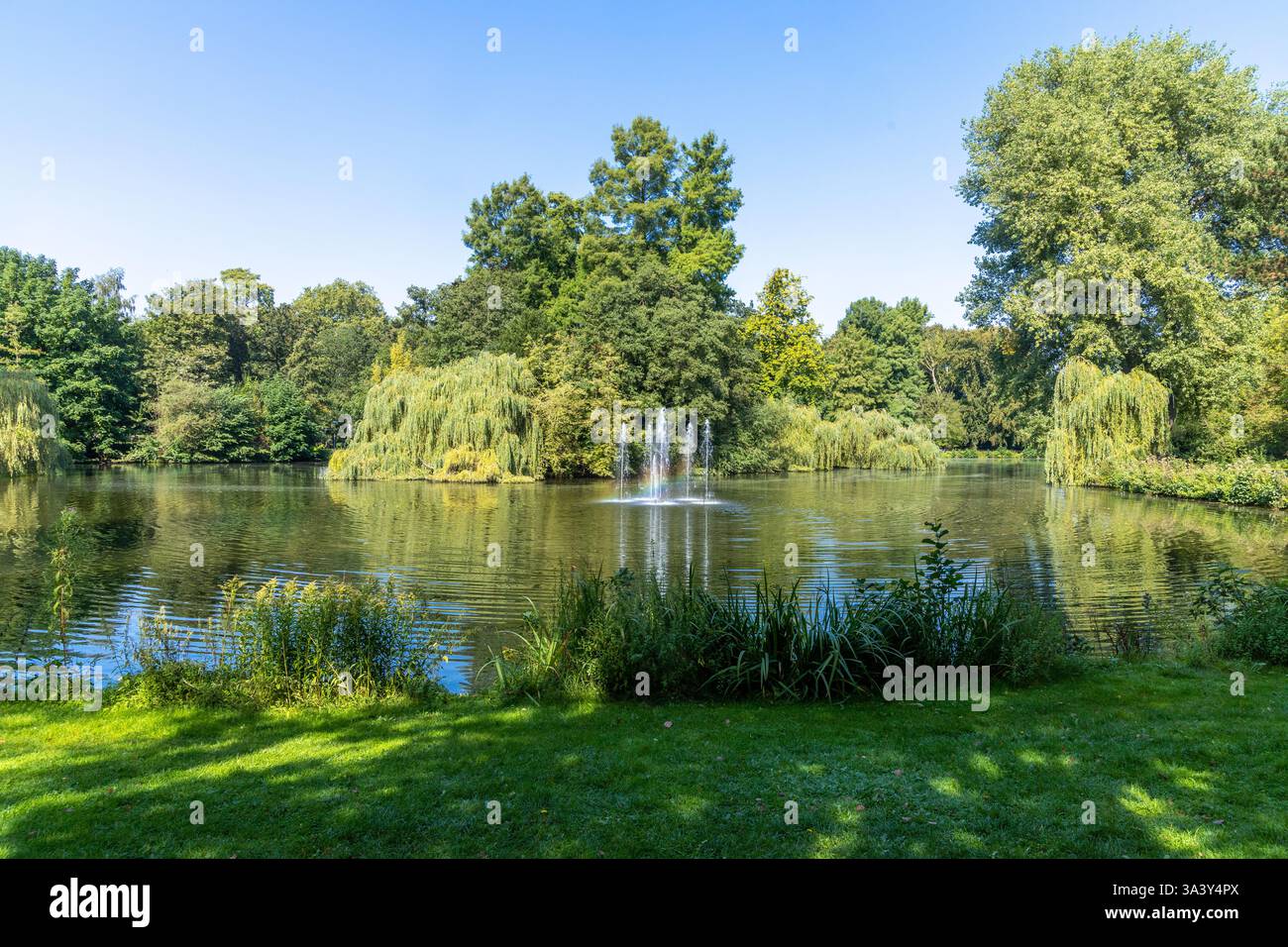 Wilhelminapark. Il Wilhelmina Park è un romantico parco cittadino con molti alberi antichi. E' un popolare parco cittadino che e' affollato tutto l'anno Foto Stock