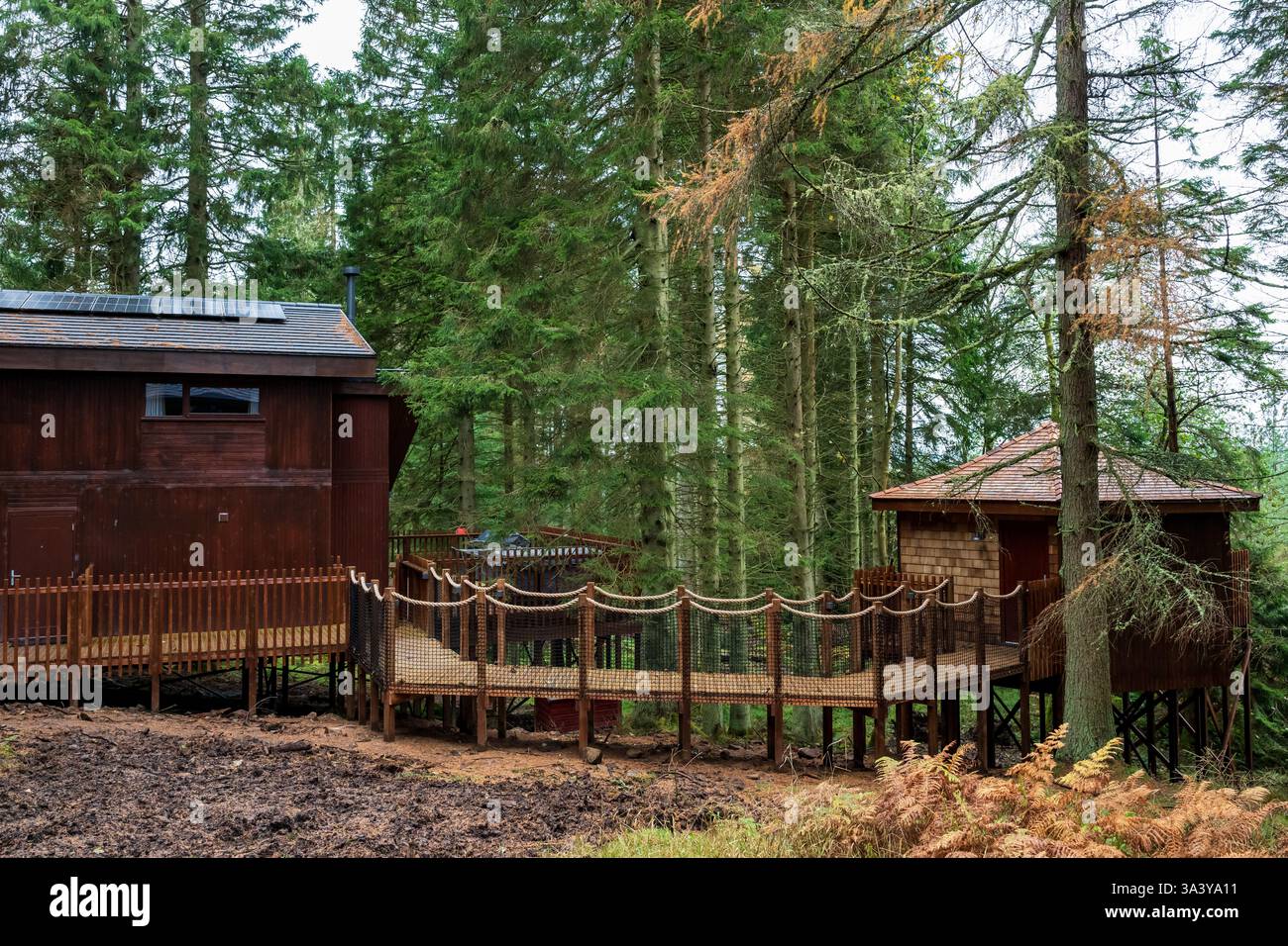 Forest Holidays Glentress Foto Stock