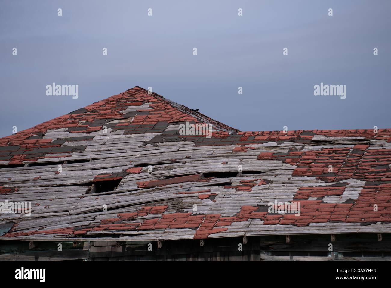 vecchio tetto con tegole in carta di catrame asfalto che necessita di un foro di riparazione nel tetto e nelle tegole e legno che marcisce in un edificio d'epoca o in un tetto a capanna che deve essere sostituito Foto Stock