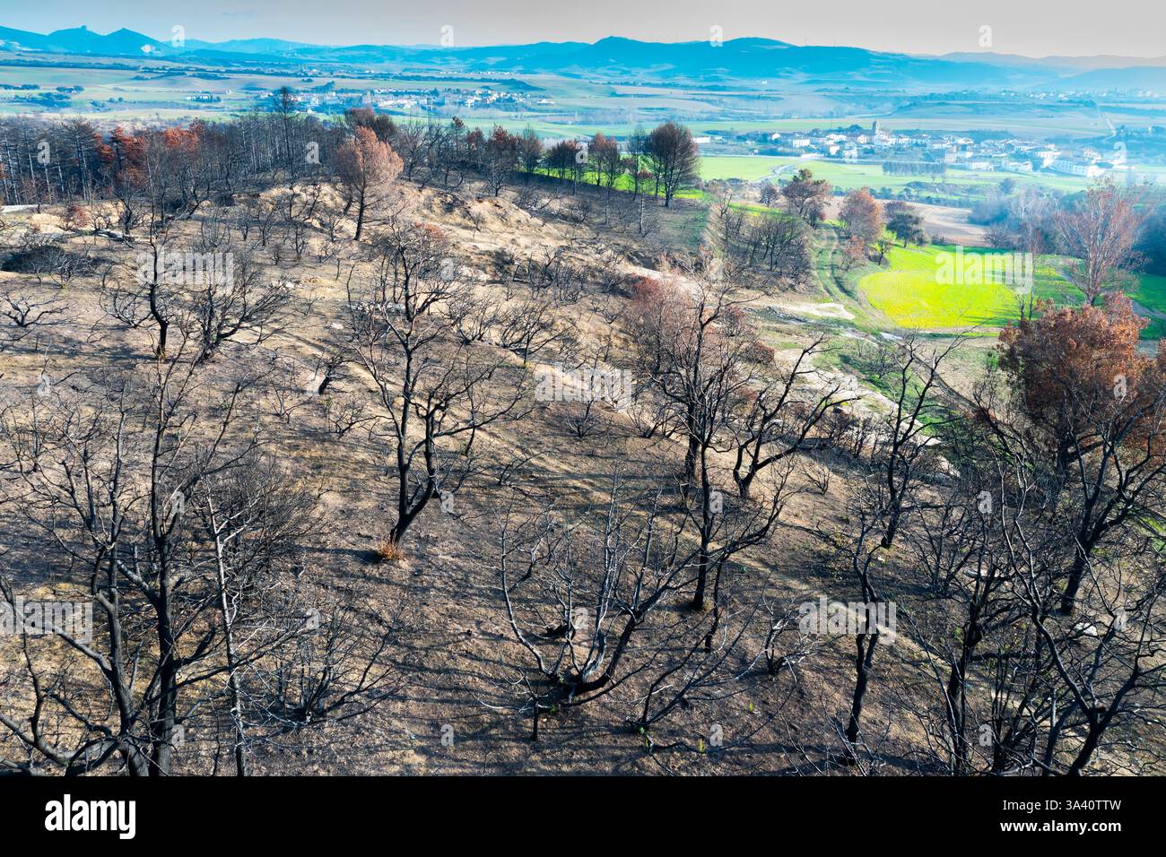 Wildfire alberi devastanti su una collina che si affaccia su legarda, navarra, spagna Foto Stock