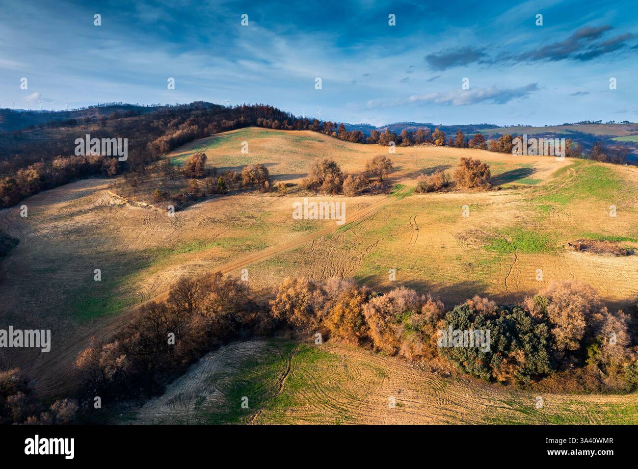 Wildfire devastanti campi e alberi a legarda, navarra, spagna Foto Stock