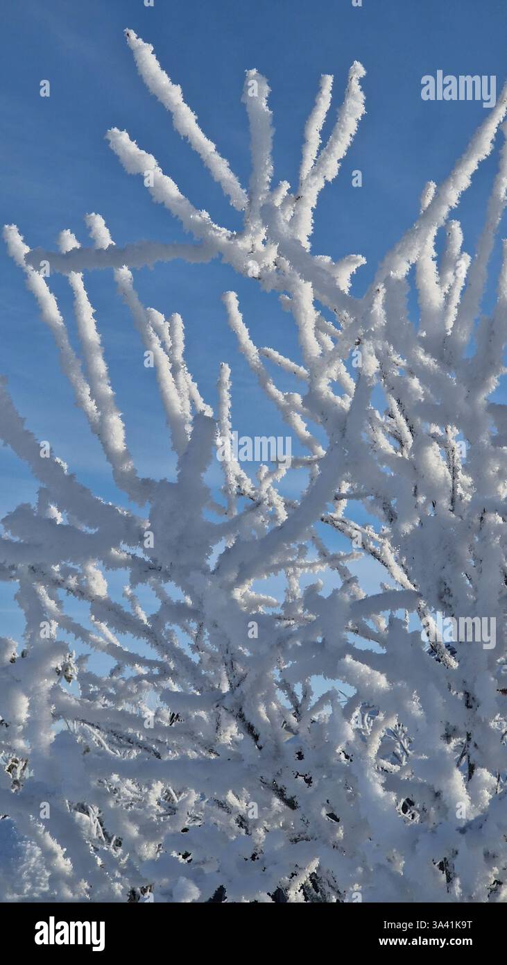 Gelo straordinario Foto Stock