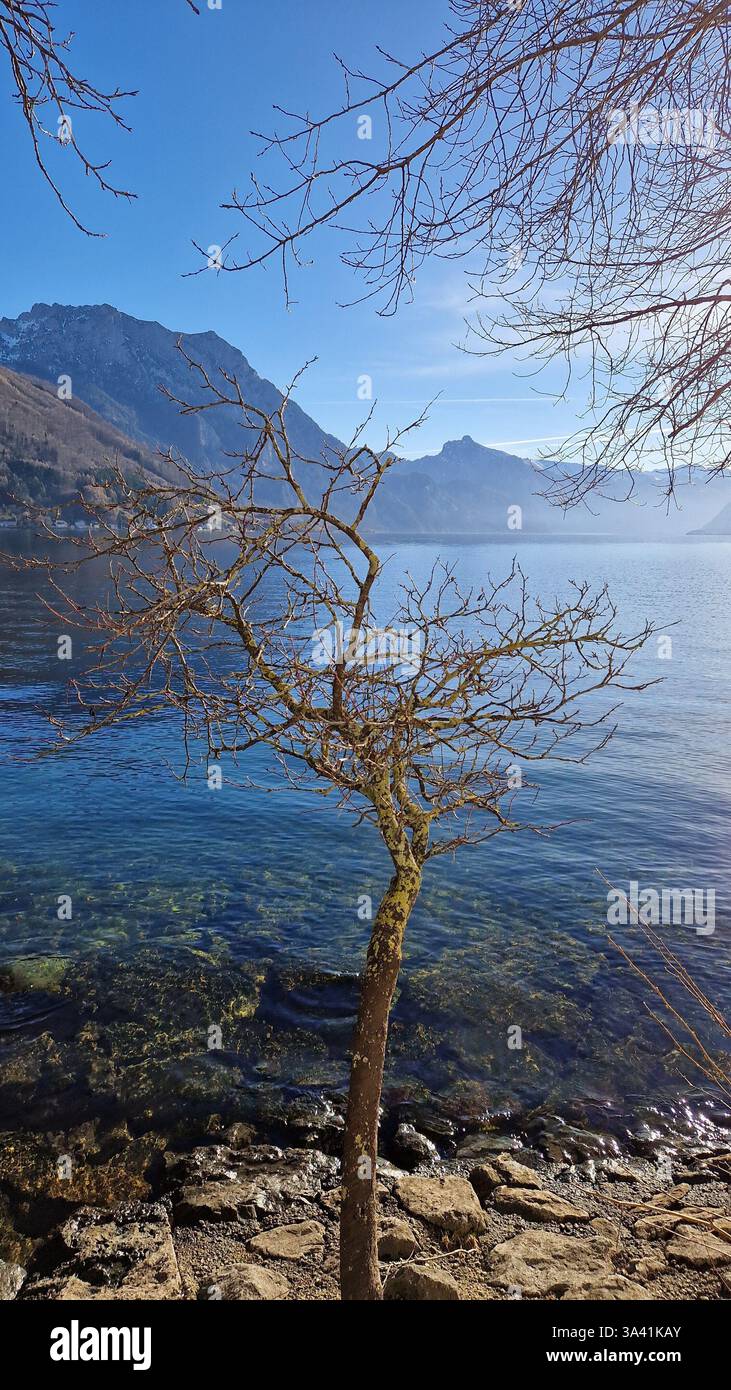 Inverno a Salzkammergut - Immagine stock catturata con smartphone