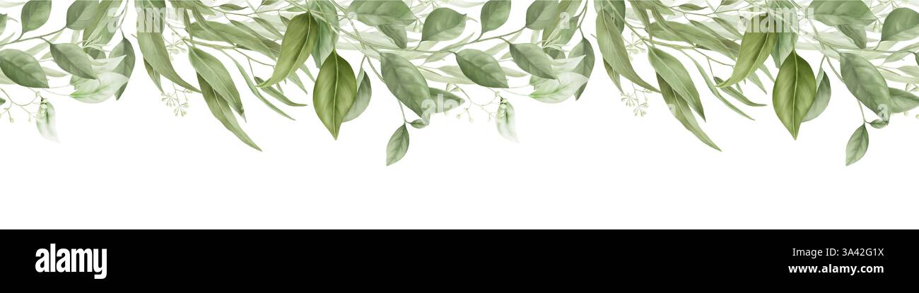 Aggraziati rami di salice ed eucalipto, bordo orizzontale senza cuciture. Illustrazione digitale ad acquerello. Rami di bambù e un olivo su un bac bianco Foto Stock