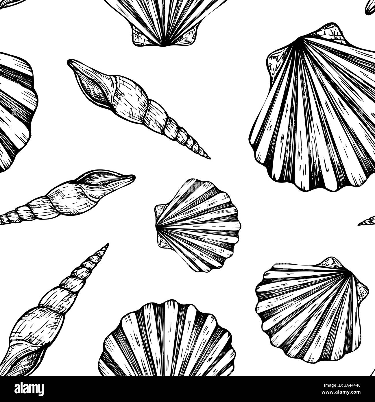 Motivo senza cuciture con bellissime conchiglie. Conchiglia a linea dipinta a mano. Clip art grafica isolata sullo sfondo. Illustrazione sott'acqua. Per i progettisti Illustrazione Vettoriale