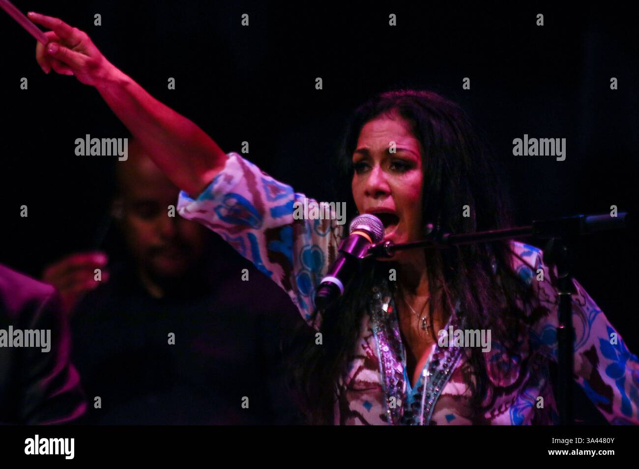 30 maggio 2014 - Wilmington, Delaware, Stati Uniti - la musicista SHEILA e si esibisce al World Cafe Live at the Queen. (Immagine di credito: © Saquan Stimpson/ZUMA Wire/ZUMAPRESS.com) Foto Stock