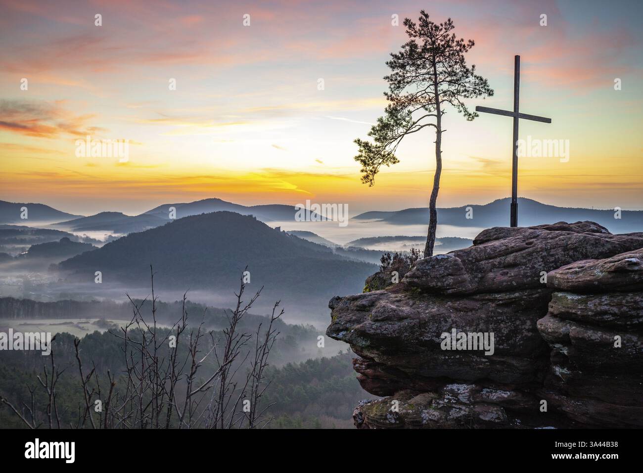 La vetta attraversa una roccia di arenaria nel mezzo della foresta. Paesaggio con una vista meravigliosa su una foresta nebbiosa. Alba nella foresta del Palatinato, Foto Stock