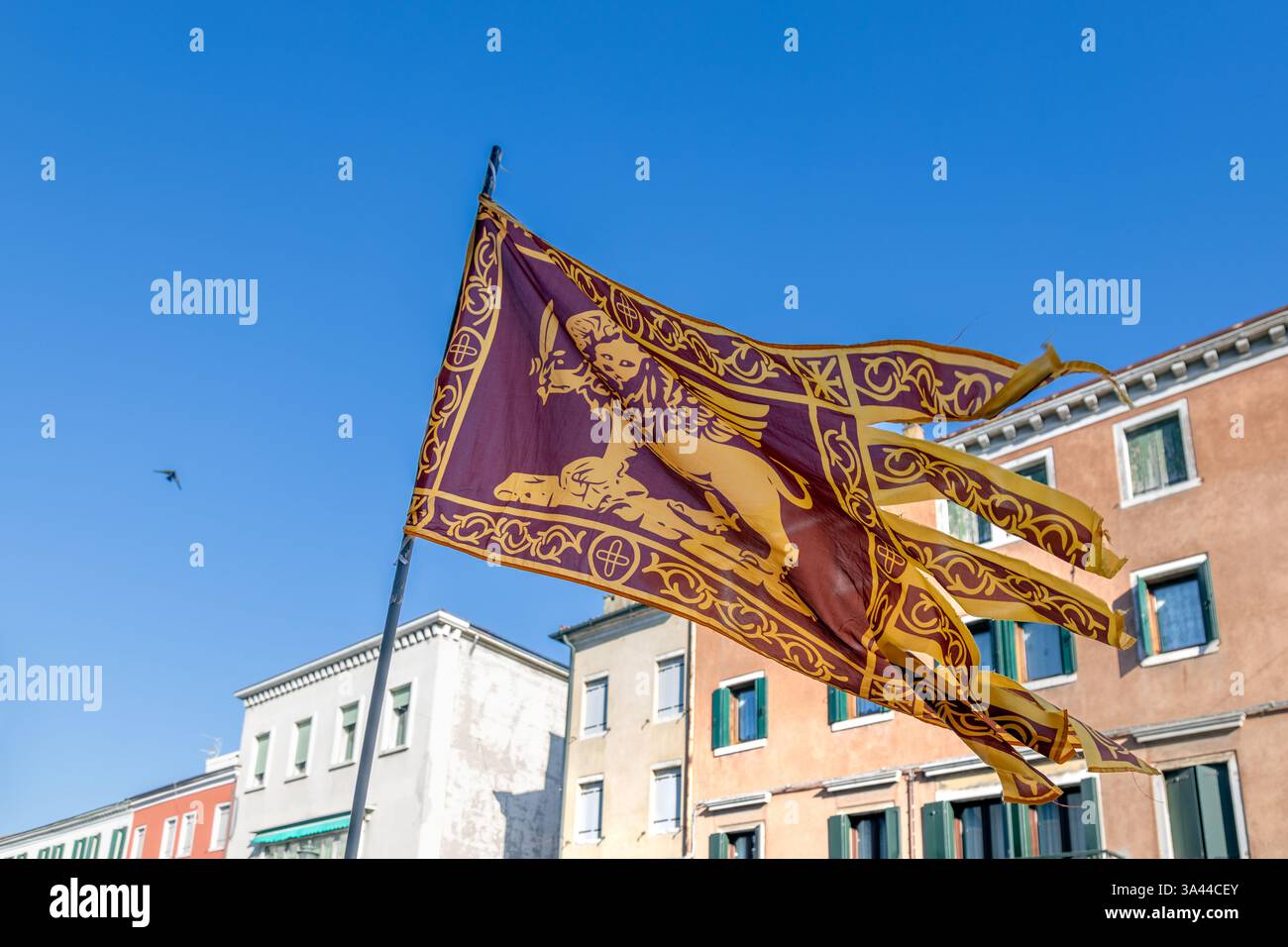 La bandiera del Veneto con il Leone alato di San Marco che sventolava al vento nel centro di Chioggia, Italia Foto Stock