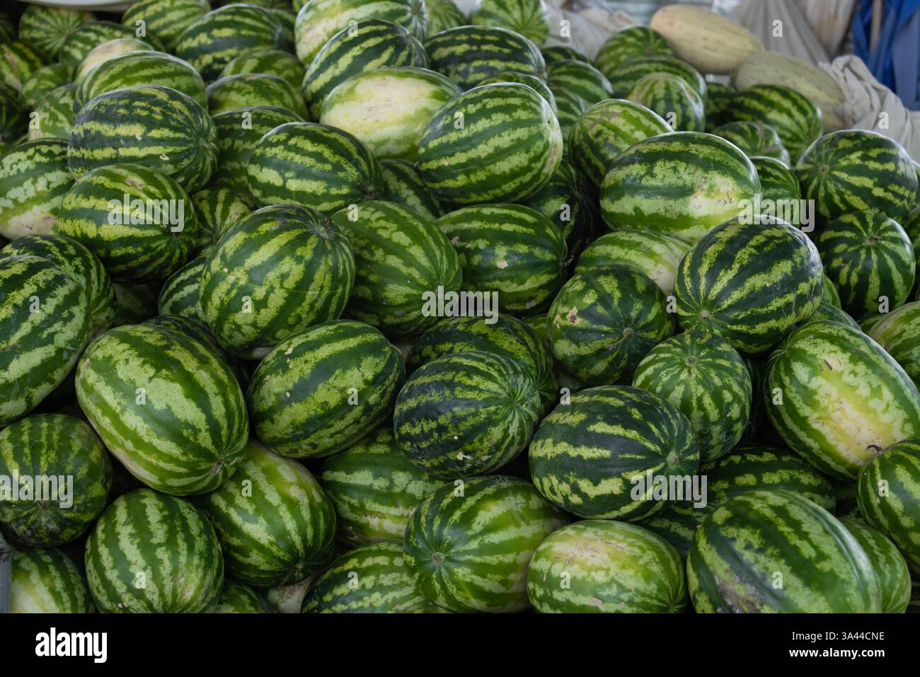 I cocomeri sono collocati nel Siyob Bazaar, chiamato anche Siab Bazaar, è il più grande bazar di Samarcanda Foto Stock