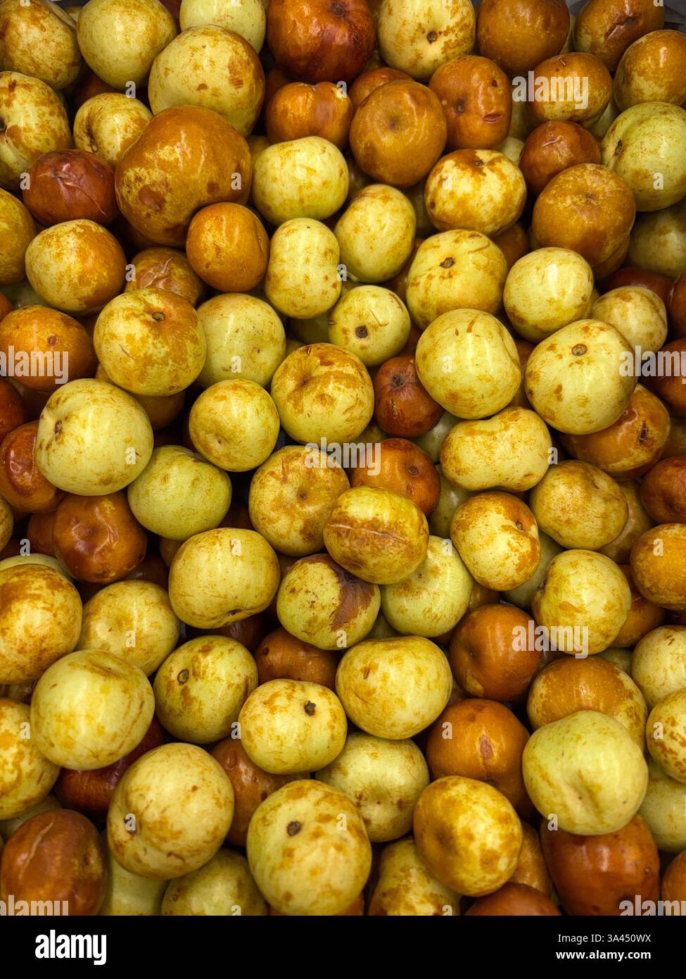 Molti jujujube freschi (data cinese) al mercato in colori giallo e marrone. Foto Stock
