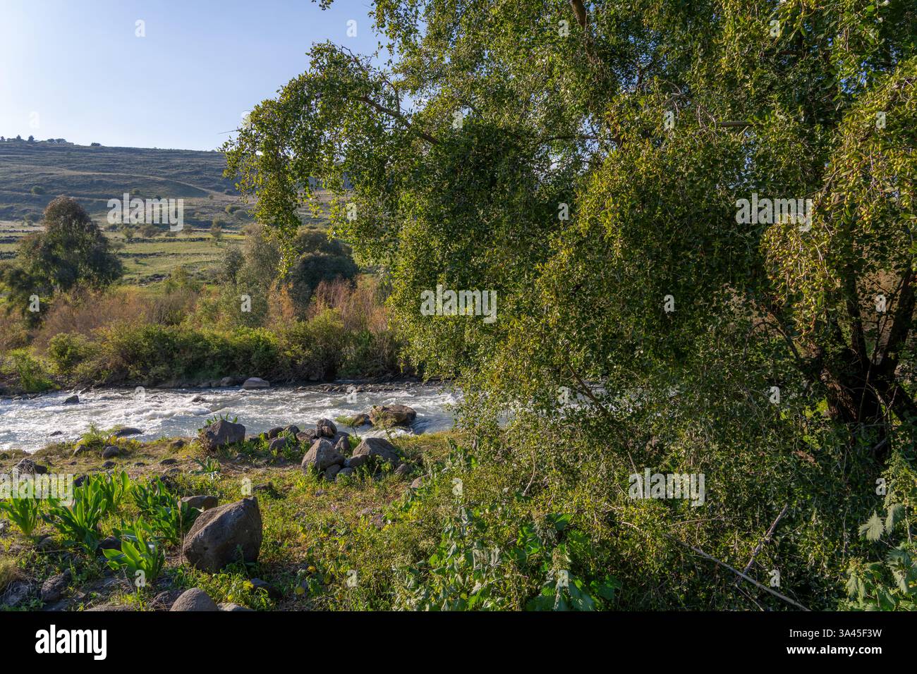 L'acqua scorre nel fiume Giordano Foto Stock