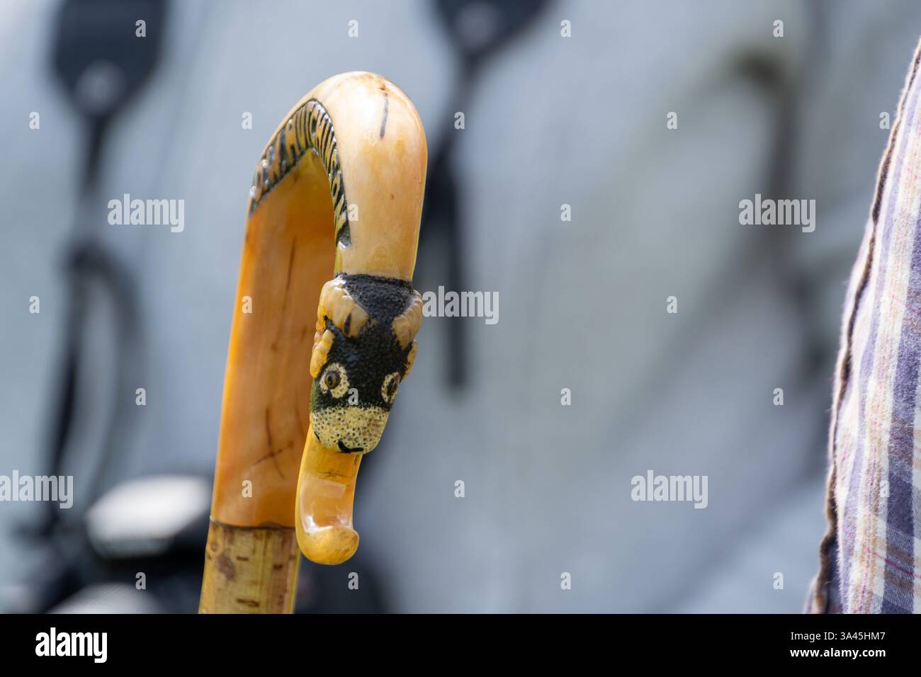 Shepherd Crook in una fattoria nello Yorkshire, Inghilterra Foto Stock