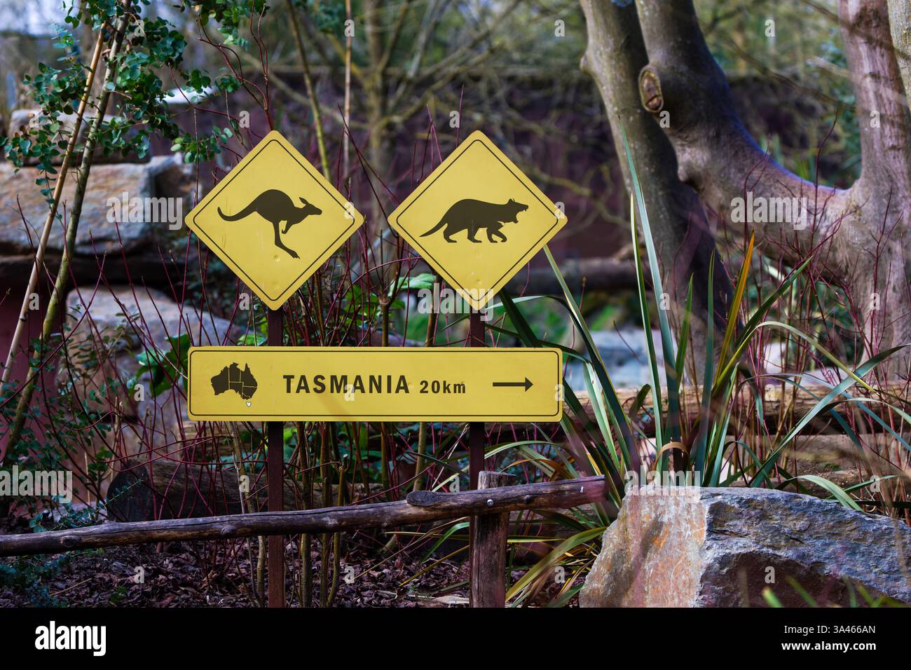 Un cartello direzionale in un ambiente naturale, con le icone di un canguro e di un diavolo della Tasmania, con un indicatore di distanza dalla Tasmania. Foto Stock