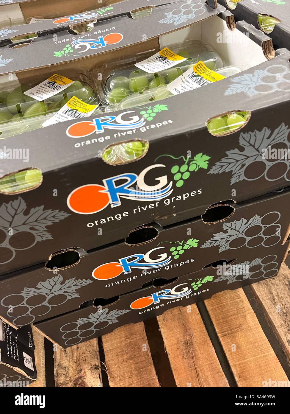 Orange River Grapes, ORG, Sud Africa produce, prodotto del Sud Africa, frutta, imballaggio uva, casse di cartone, distribuzione, catena di approvvigionamento - Immagine stock catturata con smartphone