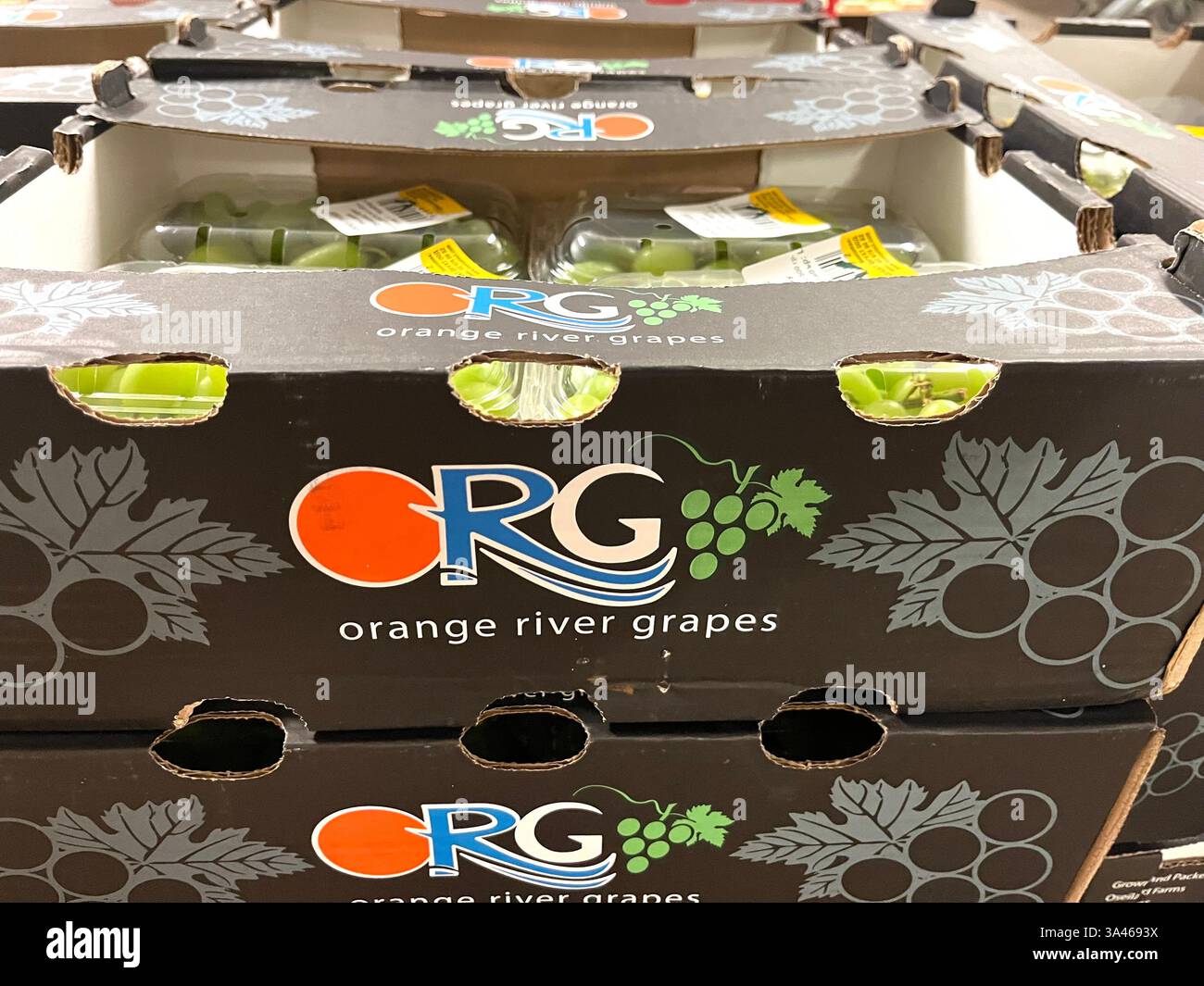 Orange River Grapes, ORG, Sud Africa produce, prodotto del Sud Africa, frutta, imballaggio uva, casse di cartone, distribuzione, catena di approvvigionamento - Immagine stock catturata con smartphone
