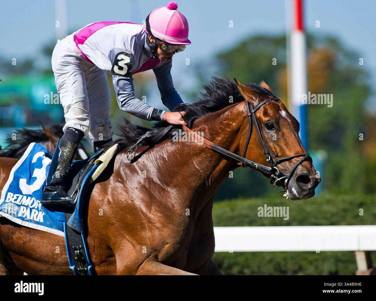 27 settembre 2014 - Elmont, New York, Stati Uniti - 27 settembre 2014: Vyjack, guidato da Irad Ortiz Jr., vince il Kelso handicap nella giornata della Gold Cup del Jockey Club al Belmont Park Race Track di Elmont, New York. Scott serio/ESW/CSM(immagine di credito: © Scott serio/Cal Sport Media/ZUMAPRESS.com) Foto Stock