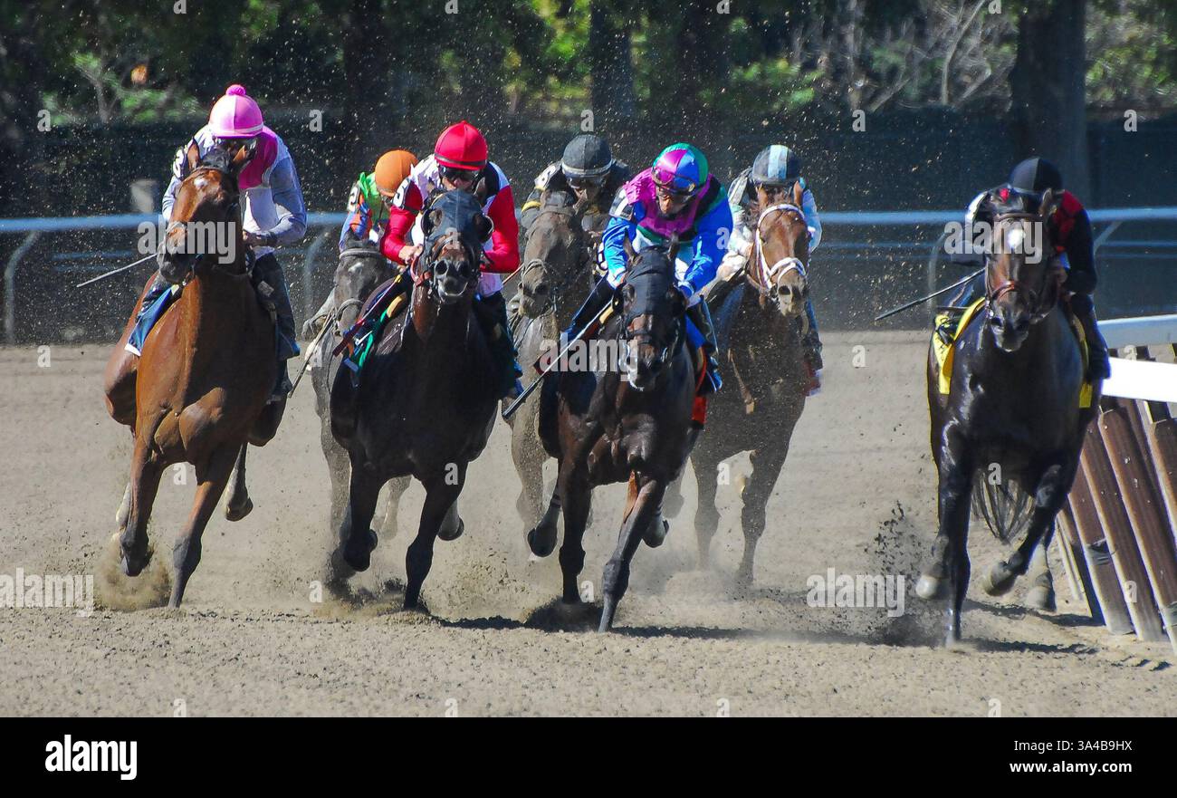 27 settembre 2014 - Elmont, New York, Stati Uniti - 27 settembre 2014: Vyjack, guidato da Irad Ortiz Jr., vince il Kelso handicap nella giornata della Gold Cup del Jockey Club al Belmont Park Race Track di Elmont, New York. John Voorhees/ESW/CSM(immagine di credito: © John Voorhees/Cal Sport Media/ZUMAPRESS.com) Foto Stock