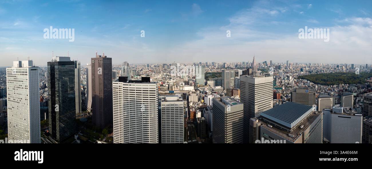 La foto mostra la vista di Tokyo dagli edifici metropolitani nel quartiere Shinjuku di Tokyo, in Giappone. Foto Stock