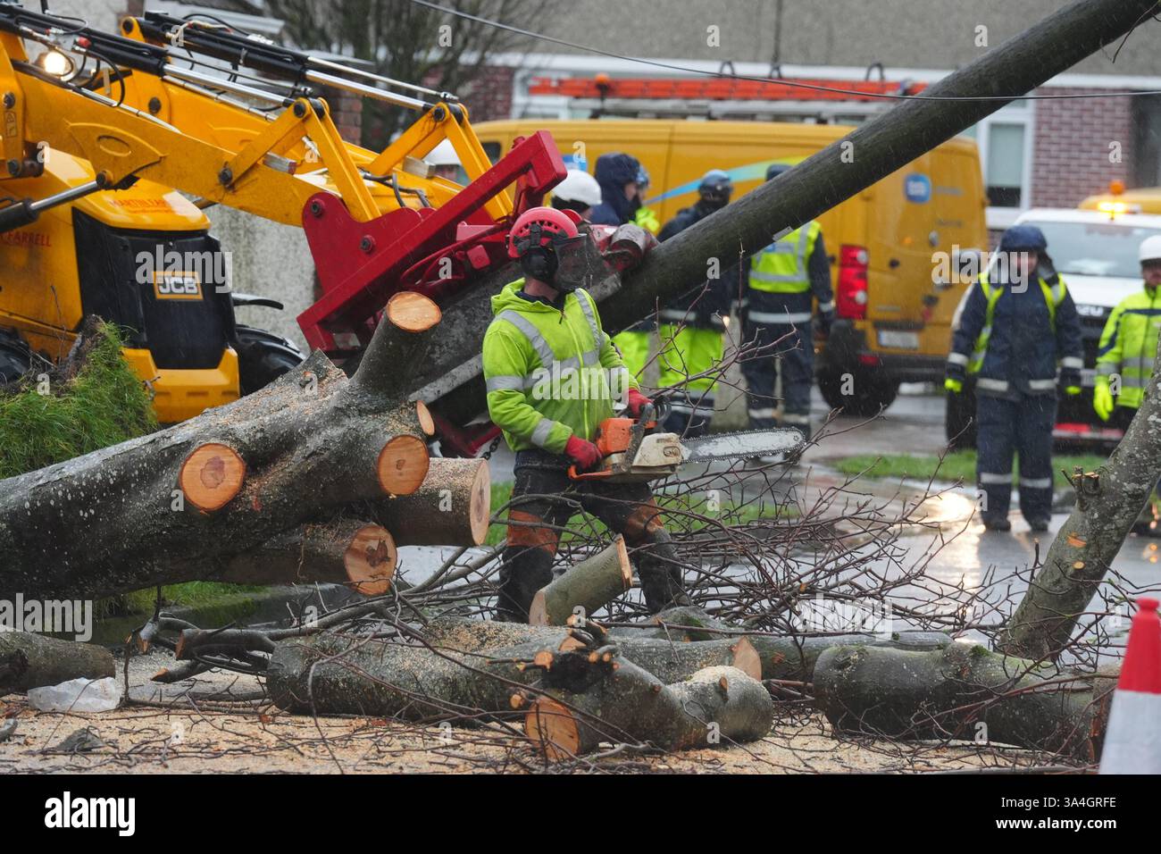 Foto del file datata 26/01/25, dei lavoratori che sgombrano un albero caduto su Grove Park Drive a Dublino. L'Irlanda deve essere meglio preparata per il prossimo grande evento meteorologico, ha affermato il Consiglio consultivo sui cambiamenti climatici. L'organo consultivo ha affermato che Storm Eowyn "ha esposto la vulnerabilità e la mancanza di resilienza dell'Irlanda" nelle sue infrastrutture e nei suoi servizi critici nel far fronte a eventi climatici estremi. Data di pubblicazione: Mercoledì 19 marzo 2025. Foto Stock