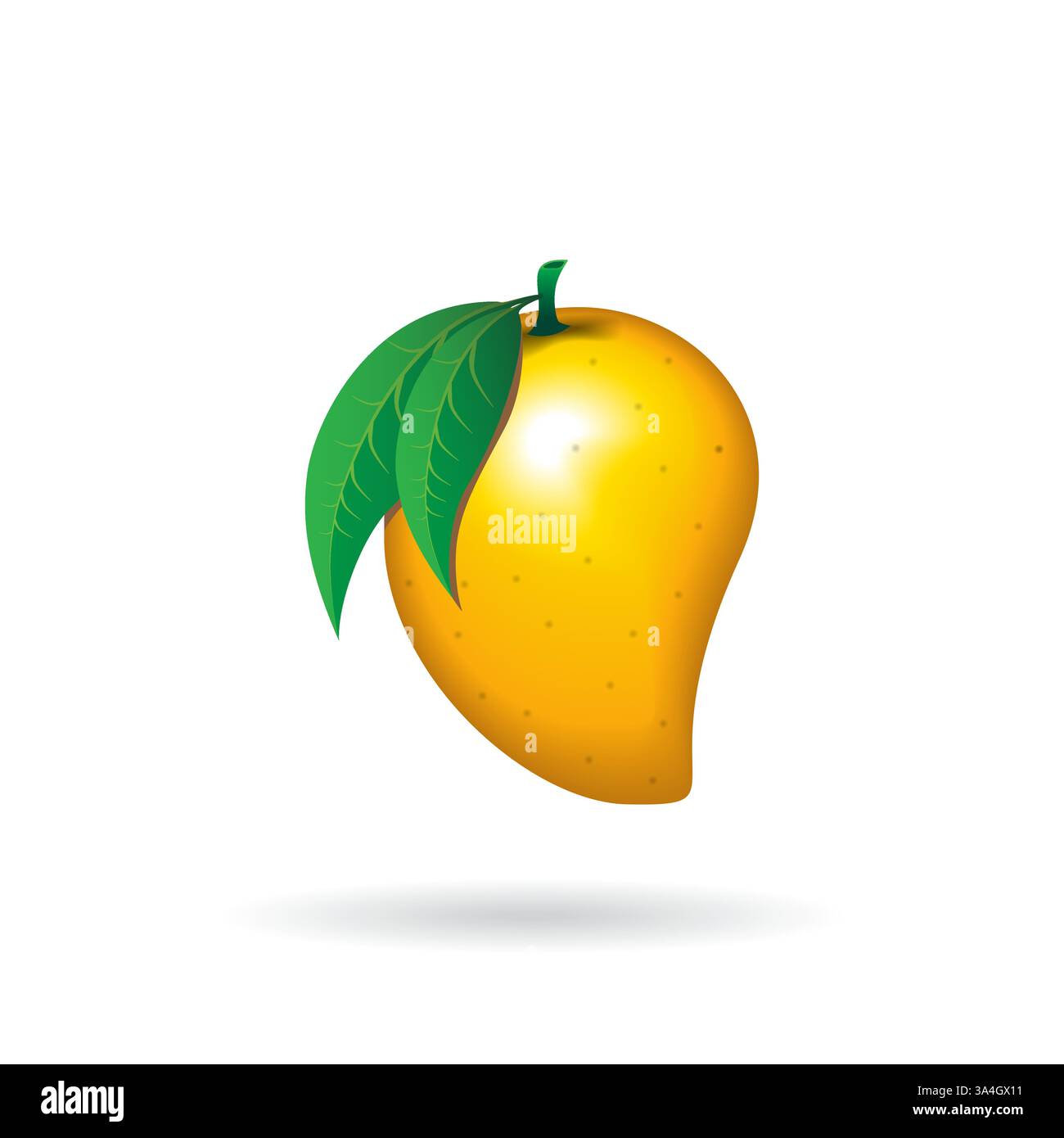 Frutta di mango su sfondo bianco gradiente Illustrazione Vettoriale