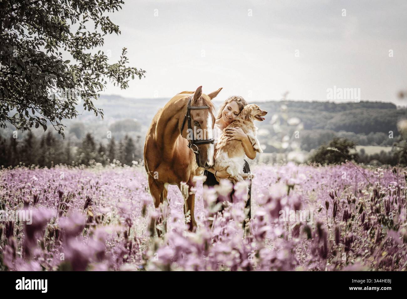 donna con cane e cavallo a sangue intero Foto Stock