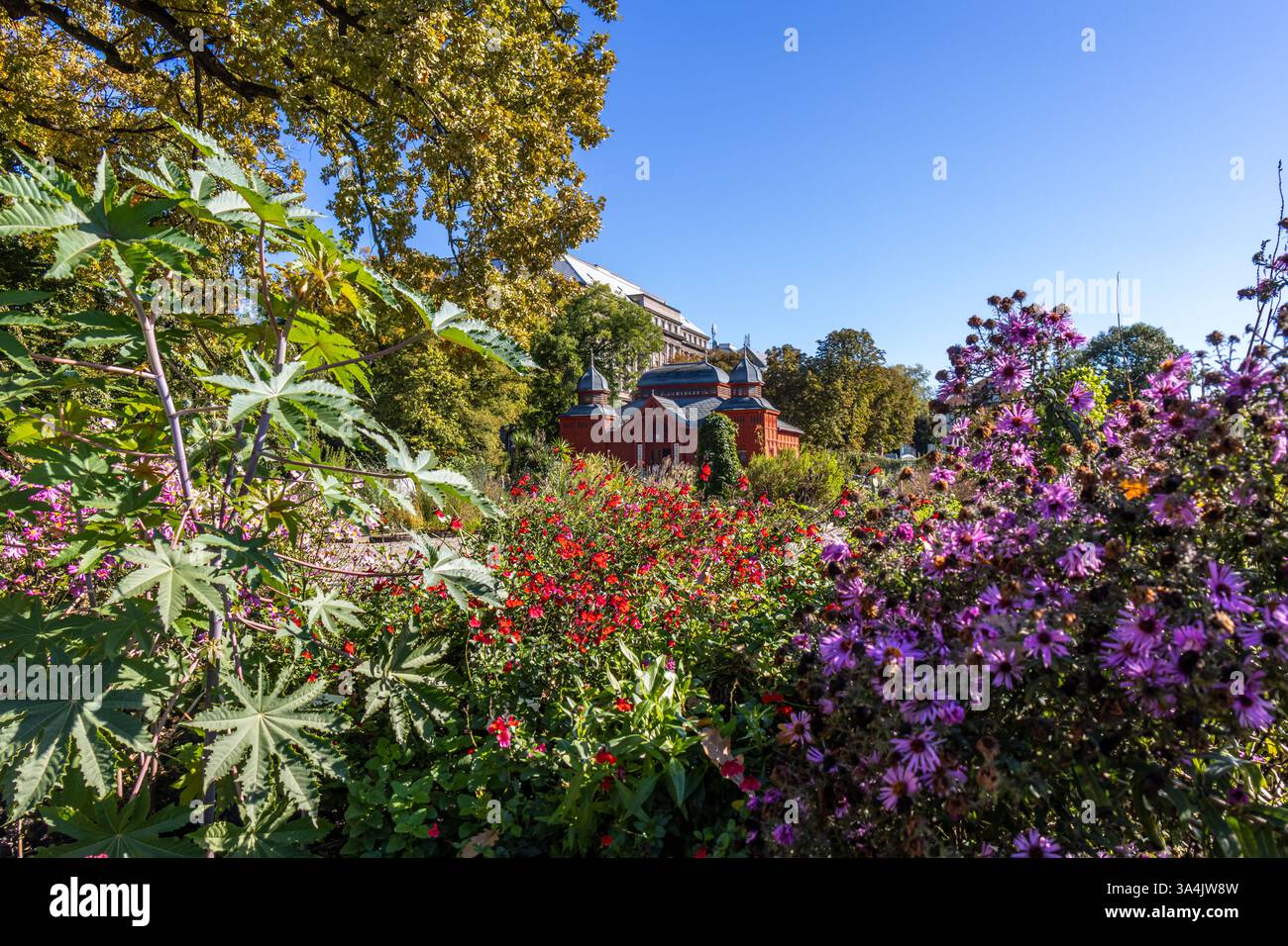Jardín Botánico de la Ciudad de Zagabria, Croacia Foto Stock