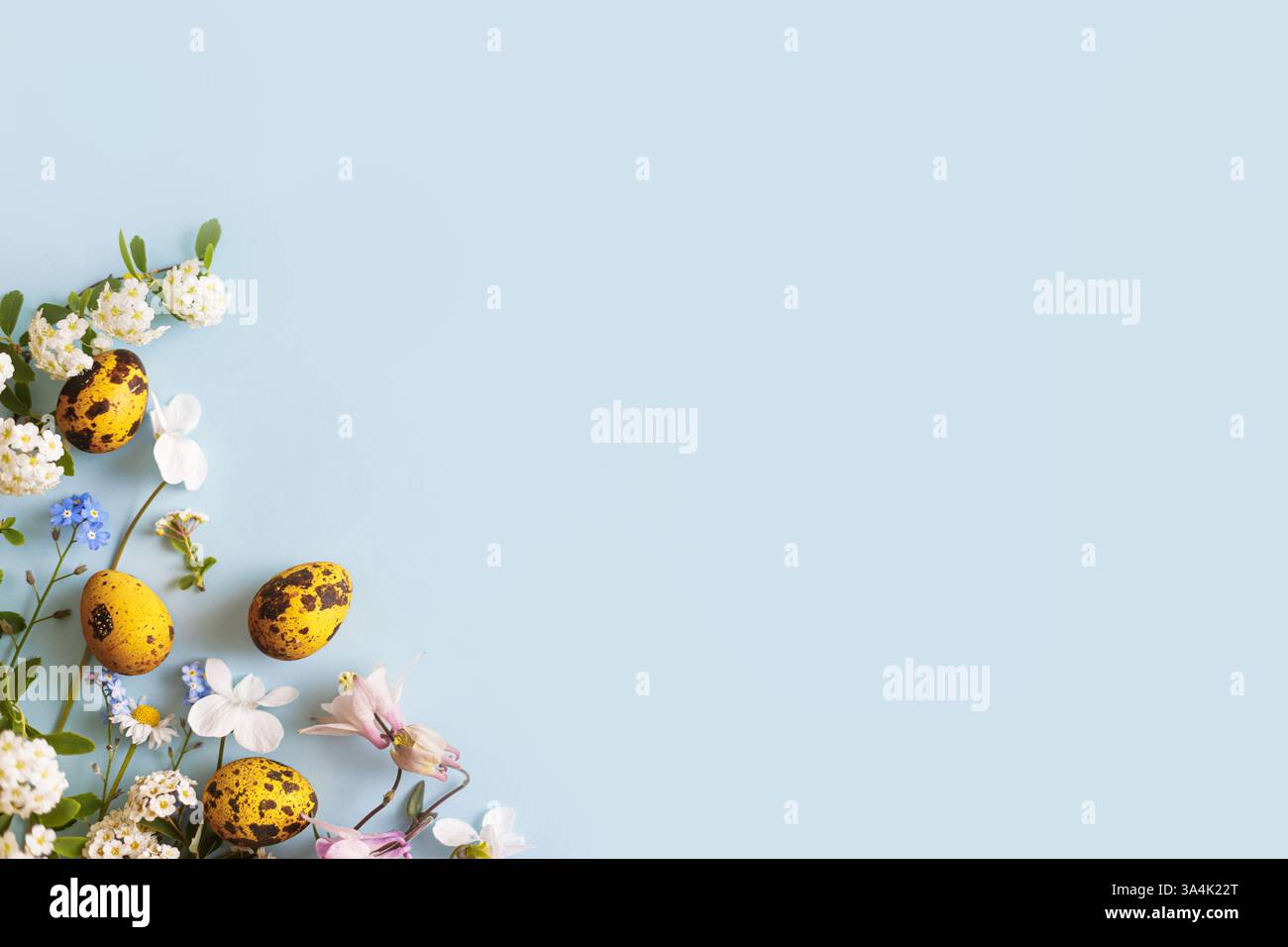 L'appartamento di Pasqua era in posizione. Eleganti uova di pasqua e fiori primaverili su sfondo blu, spazio per il testo. Striscione minimal e moderno di Pasqua. Mockup di auguri Foto Stock