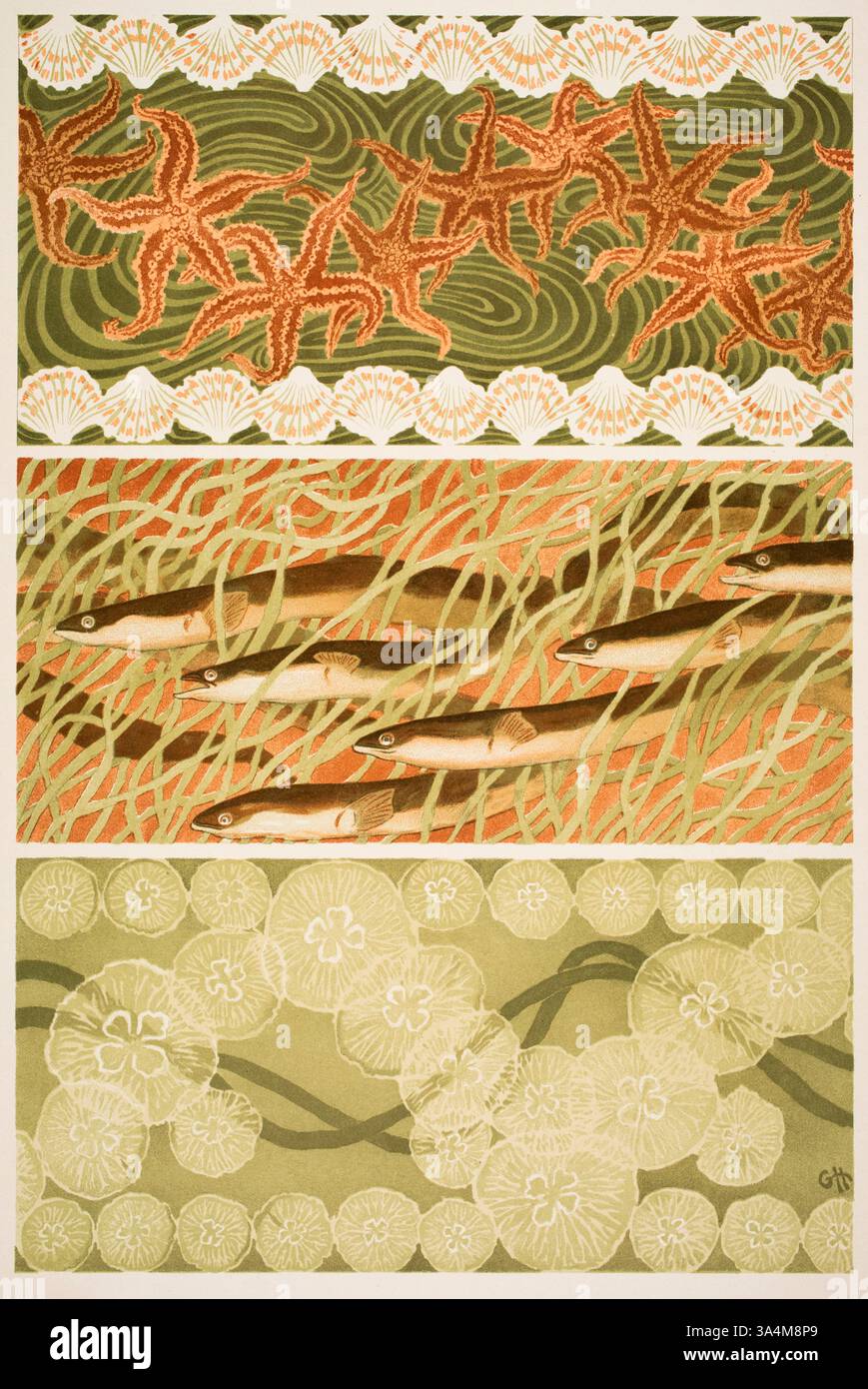 Esterni, Aale und Quallen, Starfish anguille e meduse pannelli decorativi dell'artista danese Gerhard Heilmann del Decorative Vorbilder XIII, 1902 Foto Stock