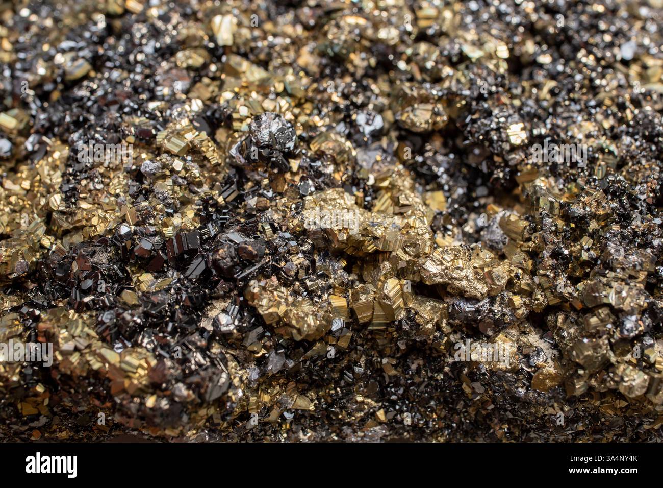 Fiore minerale di pirite colore nero e dorato messa a fuoco morbida primo piano, struttura astratta Foto Stock