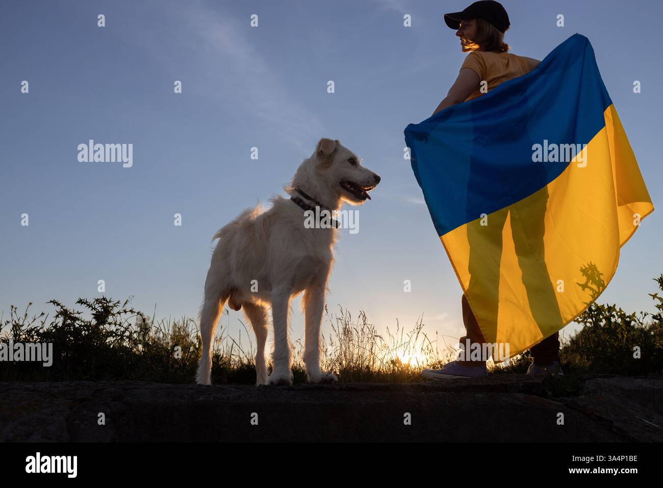 Cane terrier bianco a fuoco, donna in piedi accanto ad esso con grande bandiera Ucraina gialla e blu dietro la schiena contro il cielo del tramonto. Sono orgoglioso di essere Ukr Foto Stock