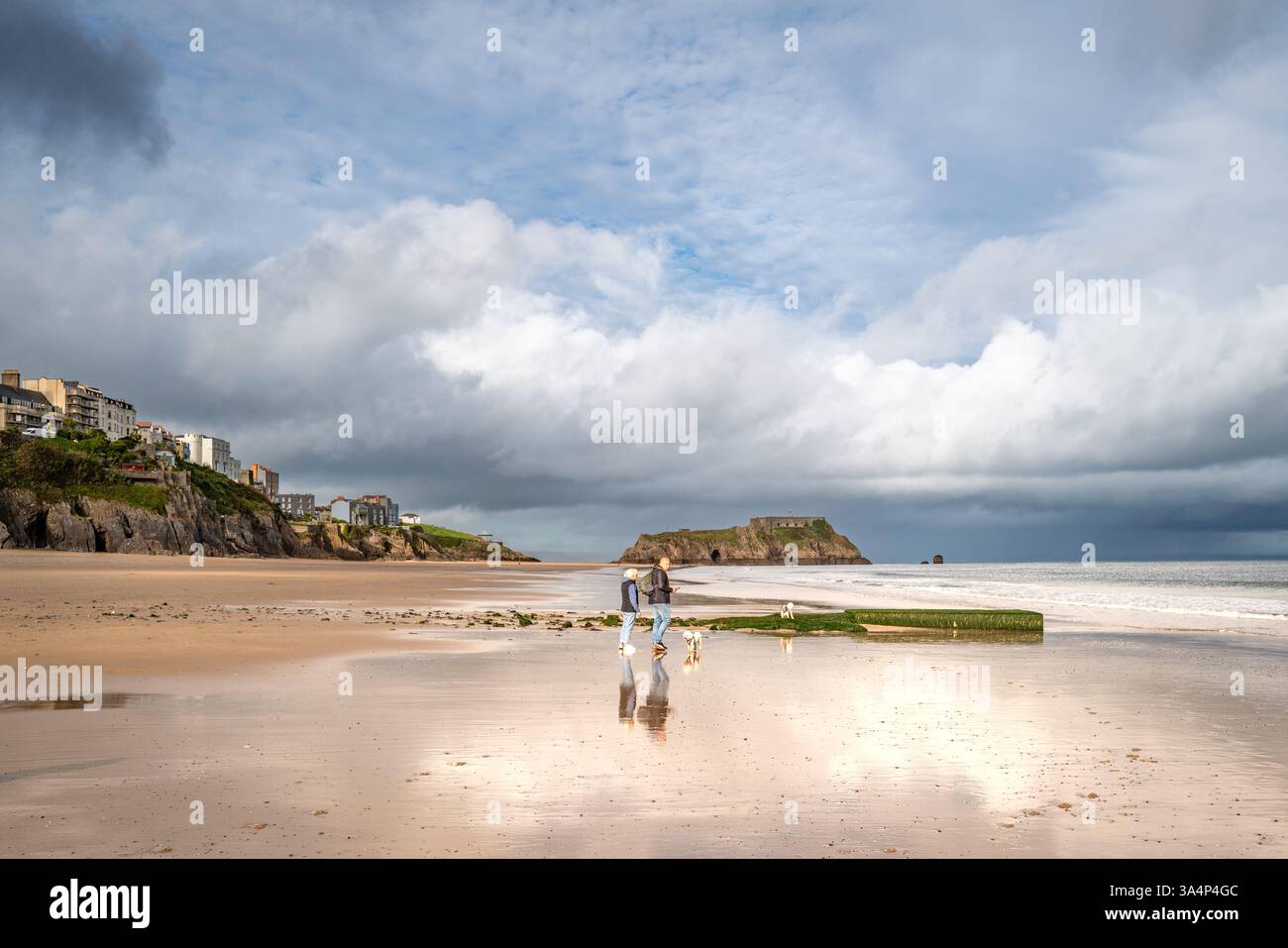 Coppia che cammina con i cani a Castle Beach, Tenby, Galles del Sud, Regno Unito. Foto Stock