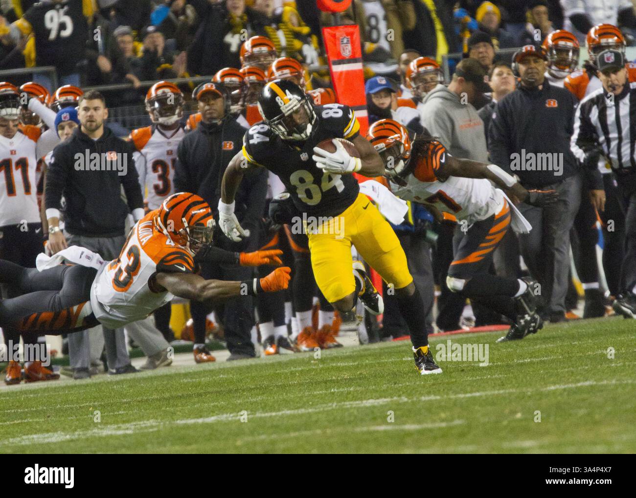 28 dicembre 2014 - Pittsburgh, Pennsylvania, U. S - il wide receiver dei Pittsburgh Steelers Antonio Brown (84) si scrollò di dosso due difensori dei Cincinnati Bengal segnando un touchdown da 65 yard alla fine del quarto periodo. I Pittsburgh Steelers sconfissero i Cincinnati Bengals 27-17 domenica sera all'Heinz Field per vincere il titolo di Division della AFC North. (Immagine di credito: © Brian Kunst/ZUMA Wire) Foto Stock