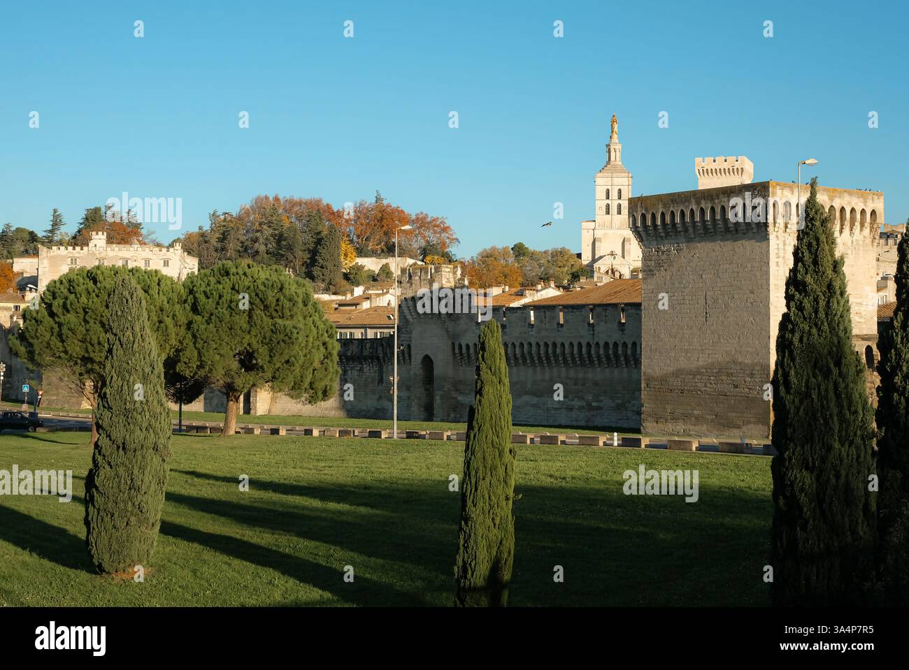 Vista panoramica di Avignone. Architettura storica di un incantevole centro storico. Maestoso Palais des Papes (Palais des Papes). Cura e architettura del paesaggio. Foto Stock