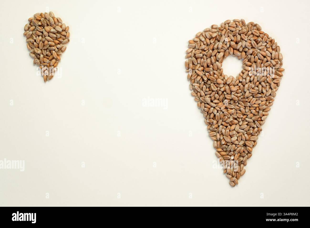 La bolla di localizzazione è fatta con chicchi di grano. Un'icona a forma di spilla grande con una spilla piccola. Logistica, affari, politica e trasporti. Copia spazio. Foto Stock
