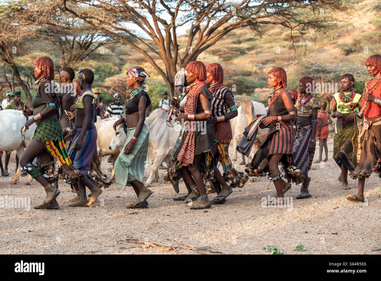 Etiopia, durante una cerimonia, gente del villaggio in un villaggio della tribù Hamer nella valle sud di Omo. 17 febbraio 2024 Foto Stock