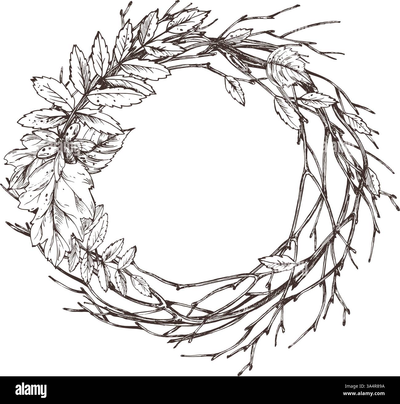 Foglie autunnali di rowan, acero, betulla, rami di alberi e coccinelle. Per decorare l'estate, l'autunno, il raccolto. Grafica grafica disegnata a mano con inchiostro nero Illustrazione Vettoriale