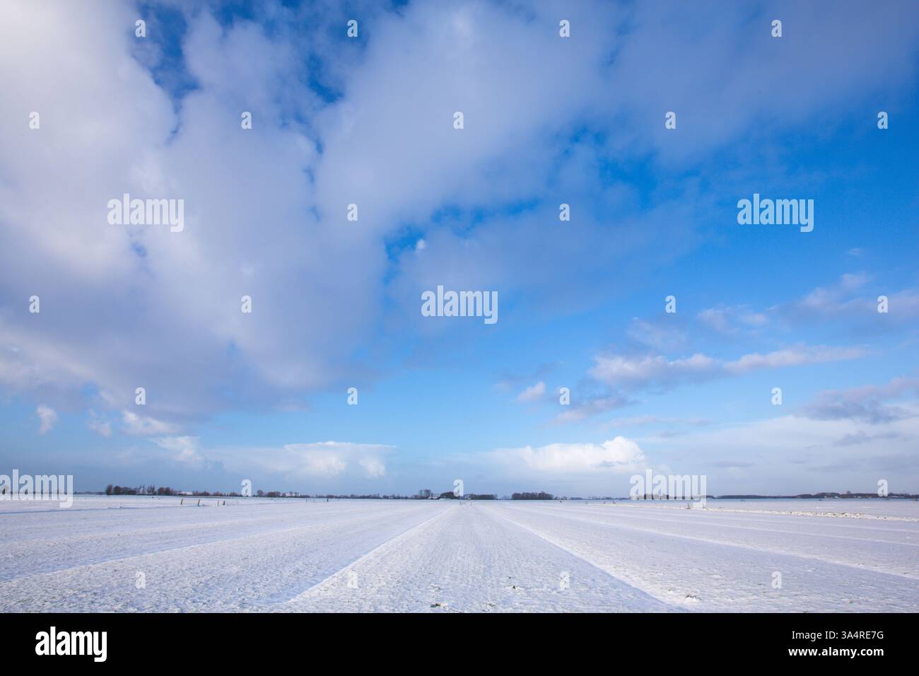 Un paesaggio invernale innevato con neve che copre i campi agricoli a dicembre in una mattina fredda e ghiacciata all'alba con luce solare brillante Foto Stock Un paesaggio invernale innevato con neve che copre i campi agricoli a dicembre in una mattina fredda e ghiacciata all'alba con luce solare brillante Foto Stock