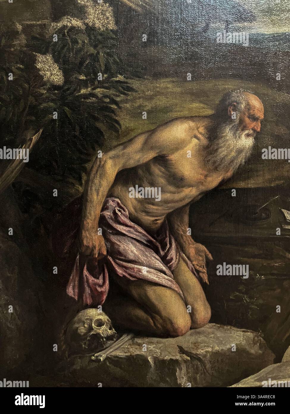 Particolare del dipinto di Jacopo Bassano "San Girolamo Penitente in un paesaggio" a olio su tela Foto Stock