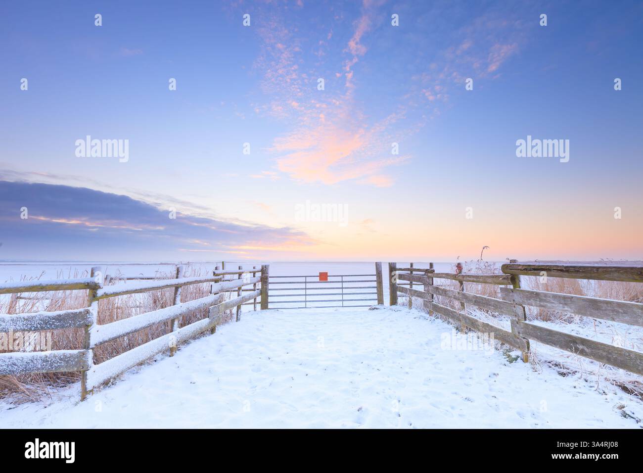 Un paesaggio invernale innevato con un vecchio recinto in un campo al tramonto con un bellissimo cielo colorato e vivace sullo sfondo dei Paesi Bassi Foto Stock Un paesaggio invernale innevato con un vecchio recinto in un campo al tramonto con un bellissimo cielo colorato e vivace sullo sfondo dei Paesi Bassi Foto Stock