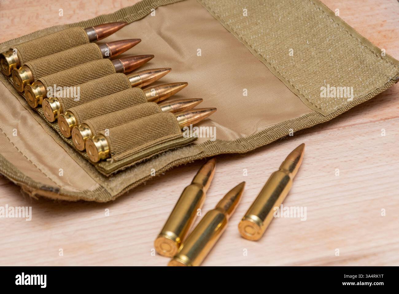 Cartucce di fucile da combattimento posizionate ordinatamente nelle celle elasticizzate della custodia tattica, con tre cartucce posizionate separatamente Foto Stock